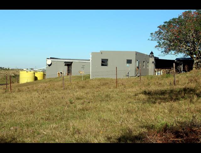 231HA FARM FOR SALE IN EAST LONDON RURAL
